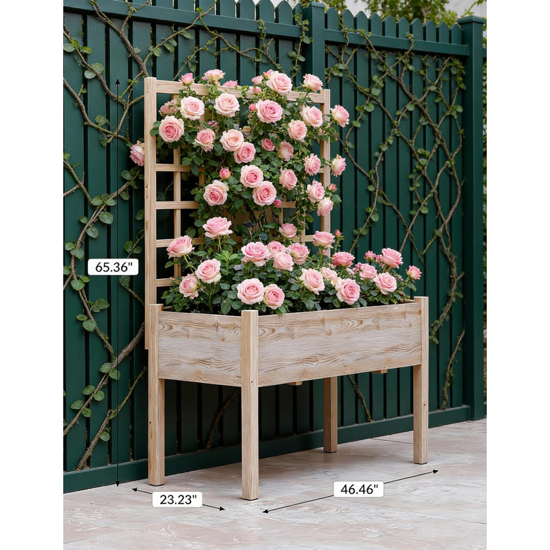 Wooden Elevated Garden Bed, With Trellis