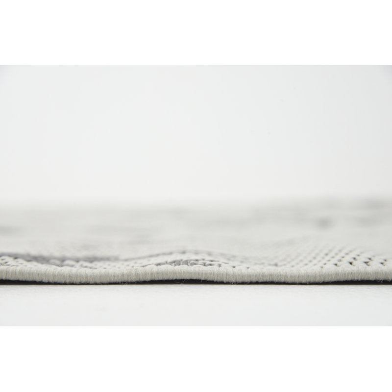 Ebern Designs Alviso Performance Rug & Reviews | Wayfair