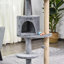 Northborough 104cm H Cat Tree-595522262