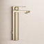 Parallel Tall Single-Handle Bathroom Faucet