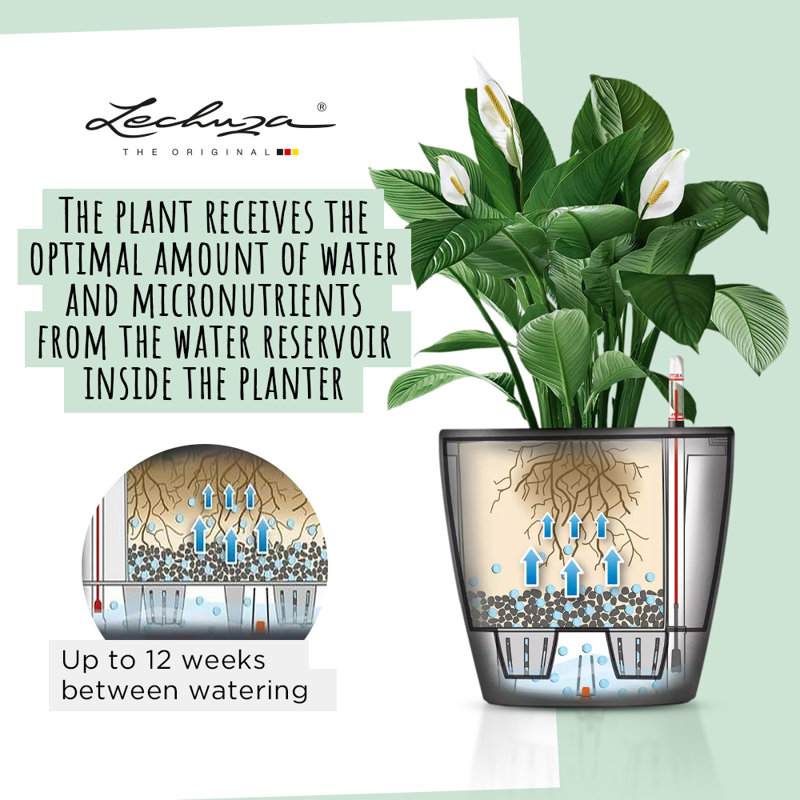 Classico Pot Planter, Cream White, 40cm H x 43cm W x 43cm D