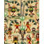 The Curators Cabinet Wallpaper Roll