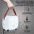 Ivation Bagless Steam Cleaner & Steam Mop