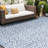 Seraphine Indoor / Outdoor Rug-967351314