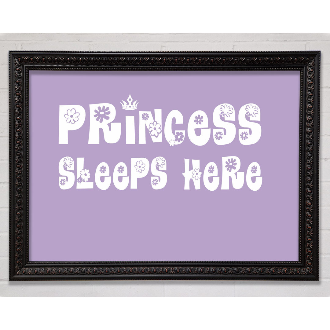 Princess Sleeps Here