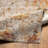 Mckeehan Abstract Indoor Rug-1871087323