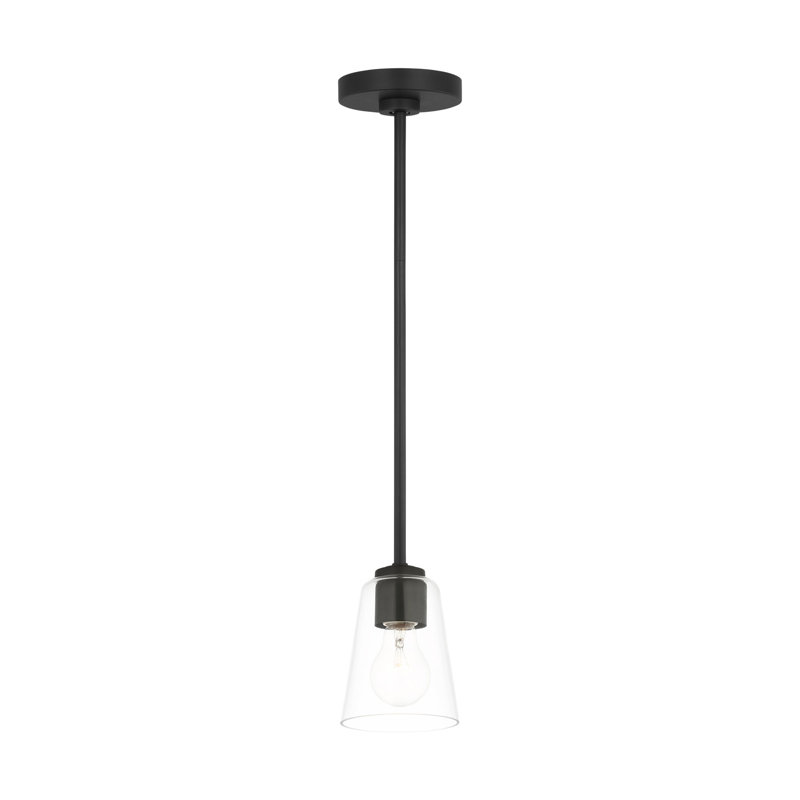 Mini-luminaire suspendu à une lumière Miles de génération Lighting , Clair, Nuit noire