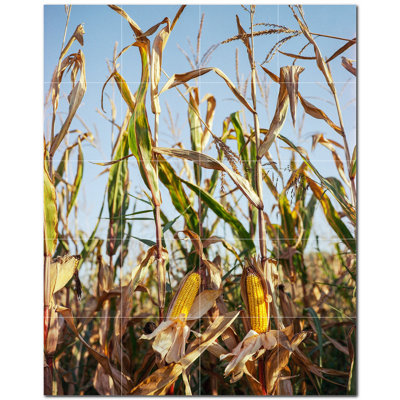 Farm Photo 8'' x 8'' Satin Ceramic Decorative Mural