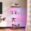 Display Cabinet-1665128141