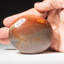 Cristal de palmier cornaline poli du Brésil-55243148-55243149