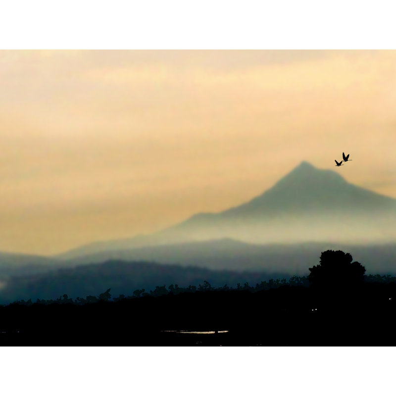 Early Morning Along The Columbia Print by Tom Kostes, 25" H x 33" W, Black Framed Canvas