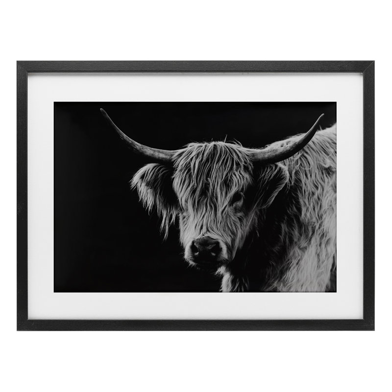 Scottish Highland Cattle Framed Print Under Glass, design by Crystal Lynn Collins, 14" H x 20" W, Midnight Black Frame