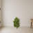Baby Schefflera Artificial Plant