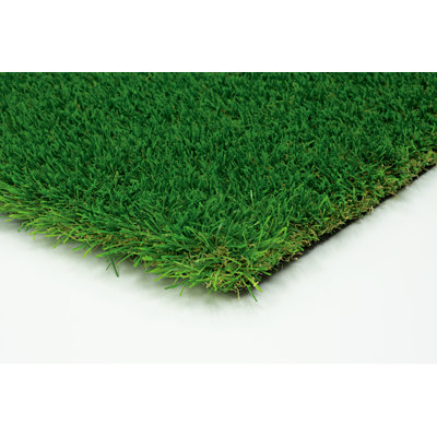 SAMPLE-55oz Sports/Pet Landscape Turf