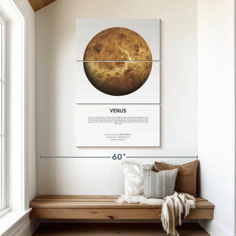 Oberle Venus Light