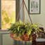 Bryttnie Handmade Planter