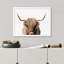 "Portrait de vache Shetland brune et blanche à deux tons" sur papier-98265843-98265842