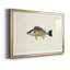 Collection de poissons tropicaux III - ensemble de 2 reproductions de cadres photo-114355885-114355882