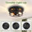 10.8 In. 2-light Farmhouse Black Flush Mount Ceiling Light  (2-pack)