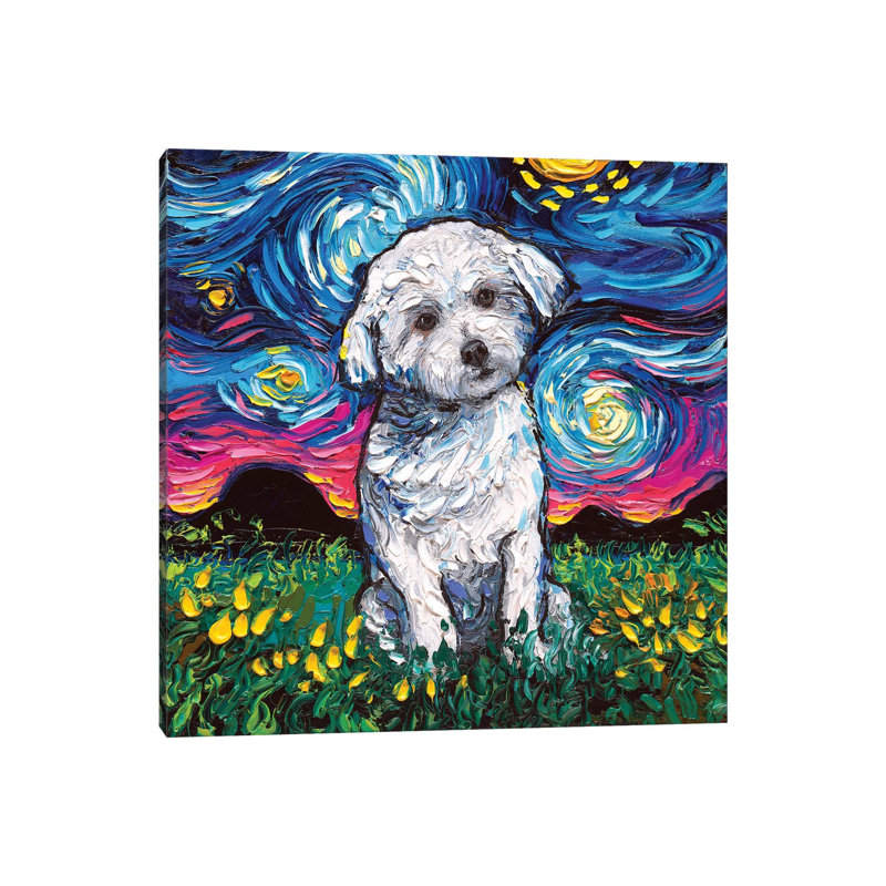 Maltese Night by Aja Trier - Wrapped Canvas Print, 30.48 cm H x 30.48 cm W