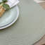 Polyester No Pattern Placemat