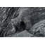 Tapis gris clair lunaire 6 x 8 Lunar Elegance