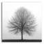 «Winter Trio I» par Nicholas Bell, photographie-65445026