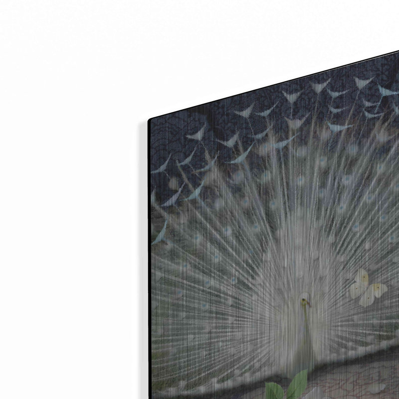 "Libération Peacock" par Dan Craig, H 16 po x l 12 po