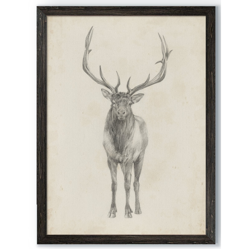 « elk study » par paul cezanne-photo-cadre, reproduction d’art, H 30 po x l 22 po x P 1,25 po