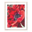Red Poppy Print by Vitaliy Paykov-48620669-48620670