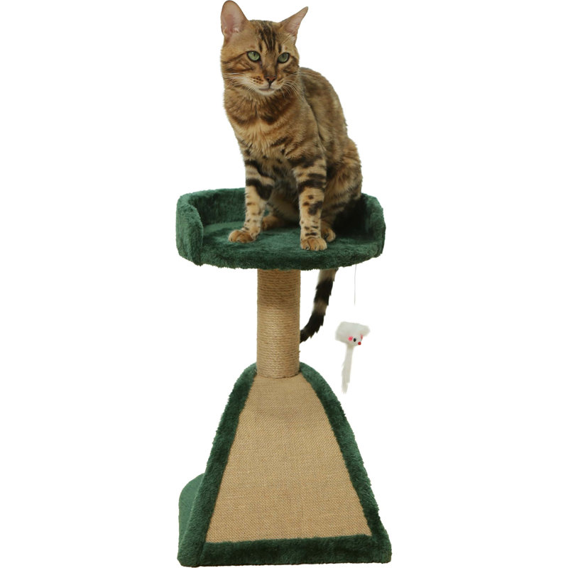 Pampurred Paws Cozy Crest