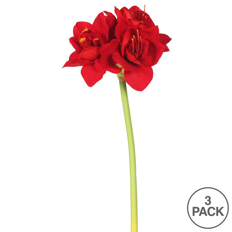 Tige de amaryllis simple velours