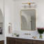 3 - Light Dimmable Vanity Light