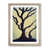 Oak