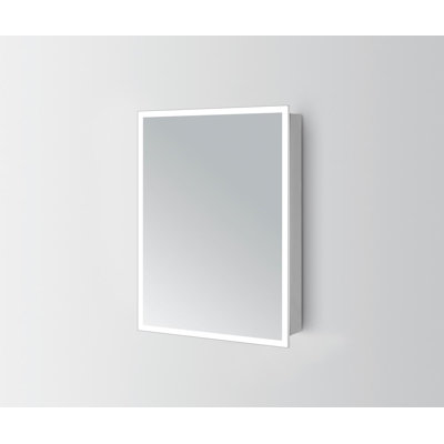 Luppo 500mm W 700mm H Surface Frameless Medicine Cabinet Mirror 2 Fixed