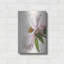 «Translucent Peony IV» par Debra Van Swearingen, art mural en métal-266371905