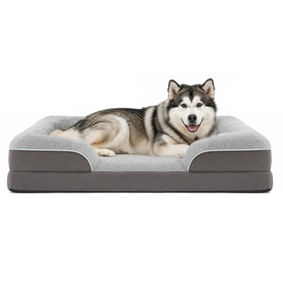 Orthopedic Memory Foam Dog Sofa Bed with Supportive Bolster, Removable Washable Cover & Joint Support