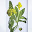 De 4 accessoires muraux de fleurs, 20 po x 28 po, décoration intérieure pour différents espaces, élégance classique, design naturel 4 botaniques, 20 x 28 po, dans diverses pièces, apparence élégante, thème de la nature