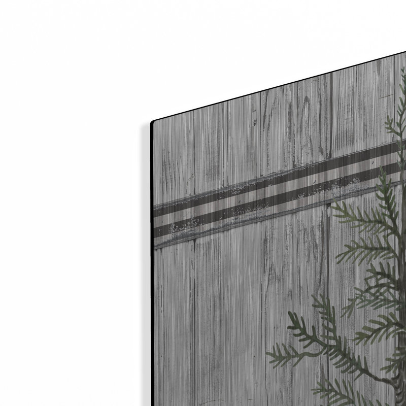 " Galvanized Pot Pine " by Cindy Jacobs