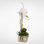Real Touch Phalaenopsis Silk Orchid with Succulents Floral Arrangement in Pot