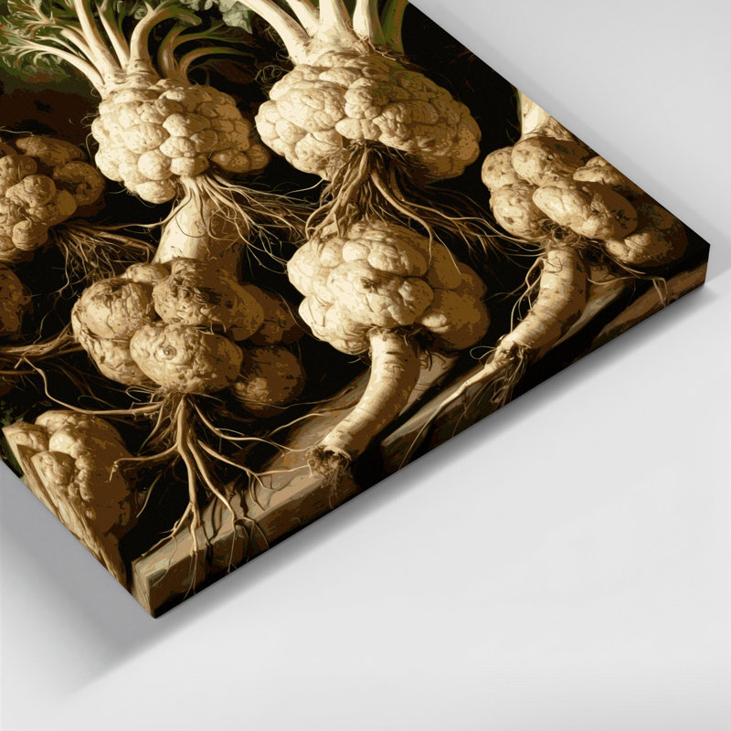 Vegetables Celeriac Brown Canvas Wall Art, 8" H x 10" W