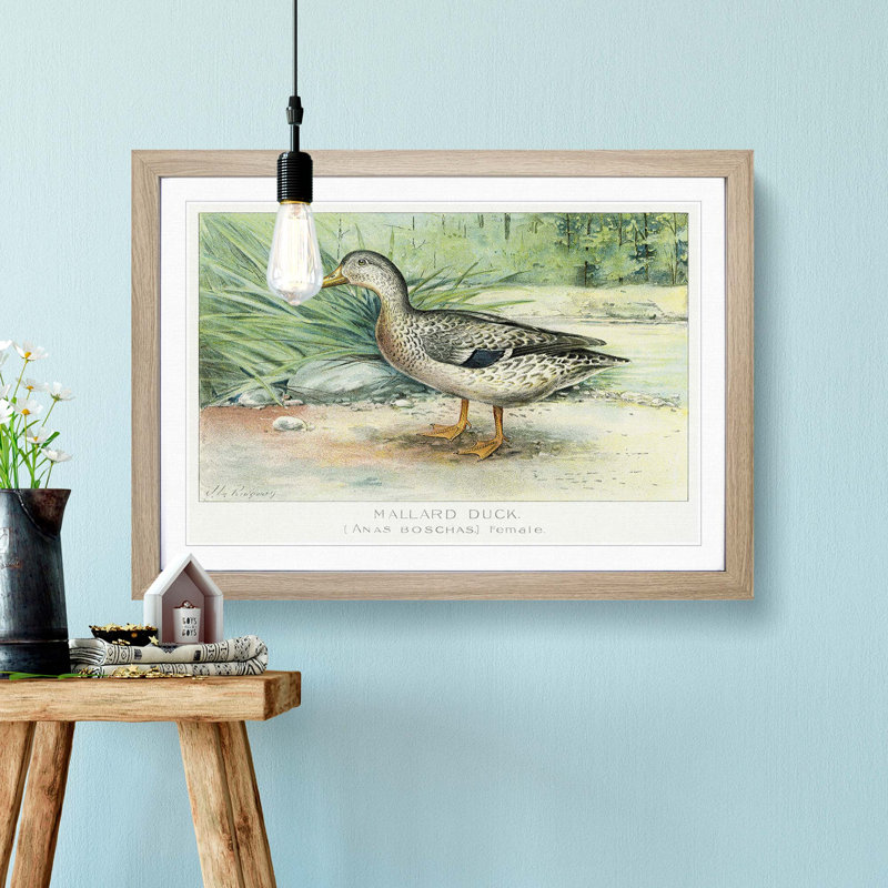 A Mallard Duck by J.L. Ridgway - Single Picture Frame Painting, Oak Framed, 45cm H x 63cm W x 2cm D