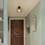 Abdullaah 18.5cm Semi Flush Mount