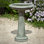 The Essential Birdbath
