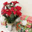 Arrangement de fleurs mixtes-24614514