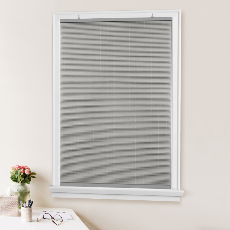 Toile à rouleau semi-transparente, L 30 po x L 72 po, Gris