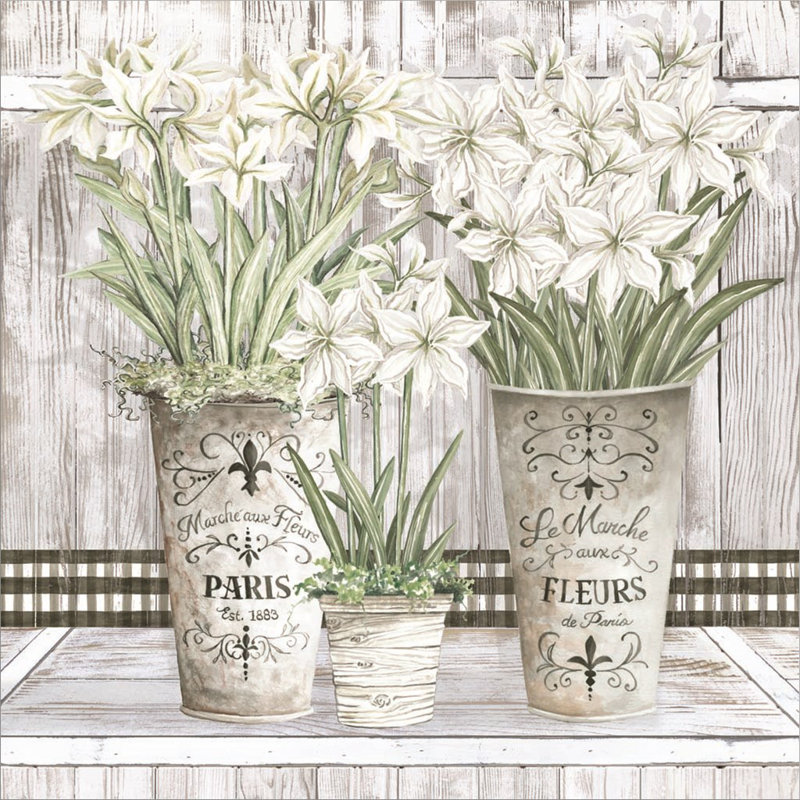 «Amaryllis Multi Pots» par Cindy Jacobs, art mural sur toile