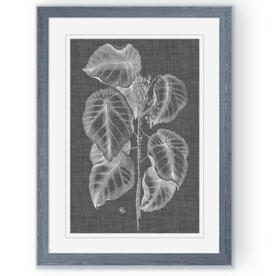 « graphique feuillage iv » par paul cezanne-impression sur cadre photo