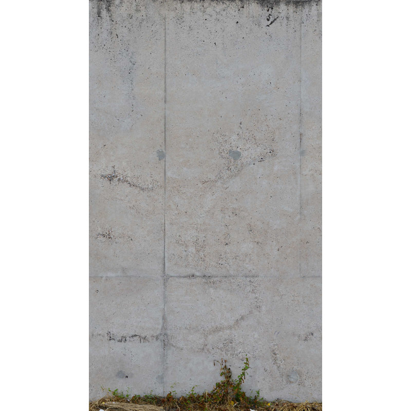 Wall Mural