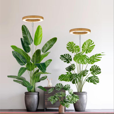 Lumière de croissance des plantes, pleine lumière à DEL pour plantes d'intérieur, lumières pour plantes, hauteur réglable, minuterie automatique, faible tension de sécurité de 5 V (grain de bois)